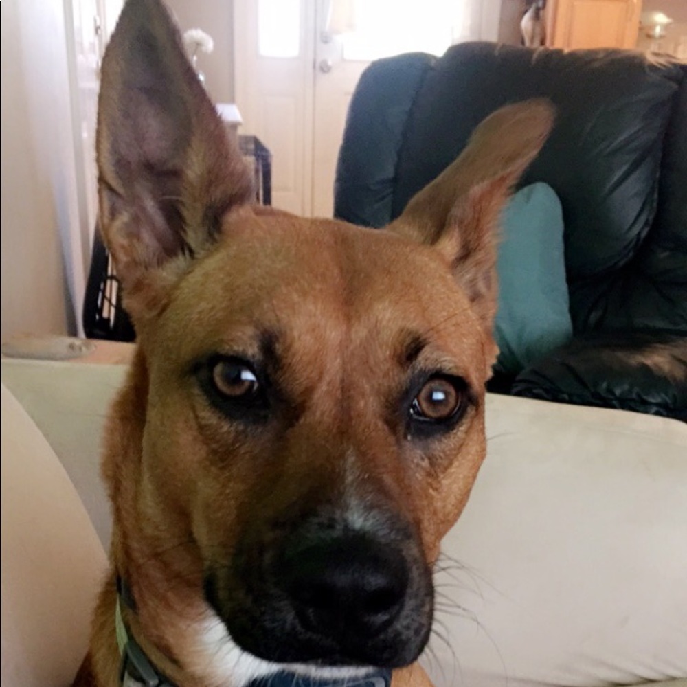 Meet your Posher, Alexandra